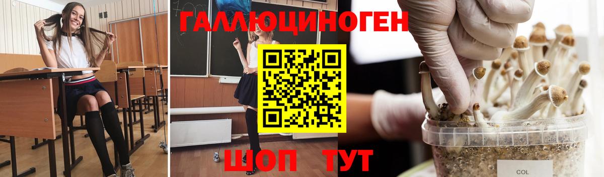 Видное  Псилоцибиновые грибы Cubensis  как найти   Вход с VPN 
